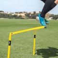 PRO TRAINIG AGILITY BANDS...jpg