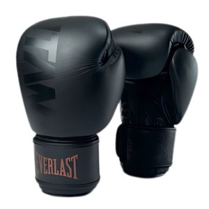 Everlast Rękawice MUAY THAI TITAN 