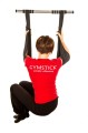 ab_straps_gymstick.jpg