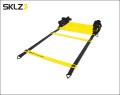 Quick-Ladder-2.jpg