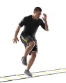 Quick-Ladder-3.jpg